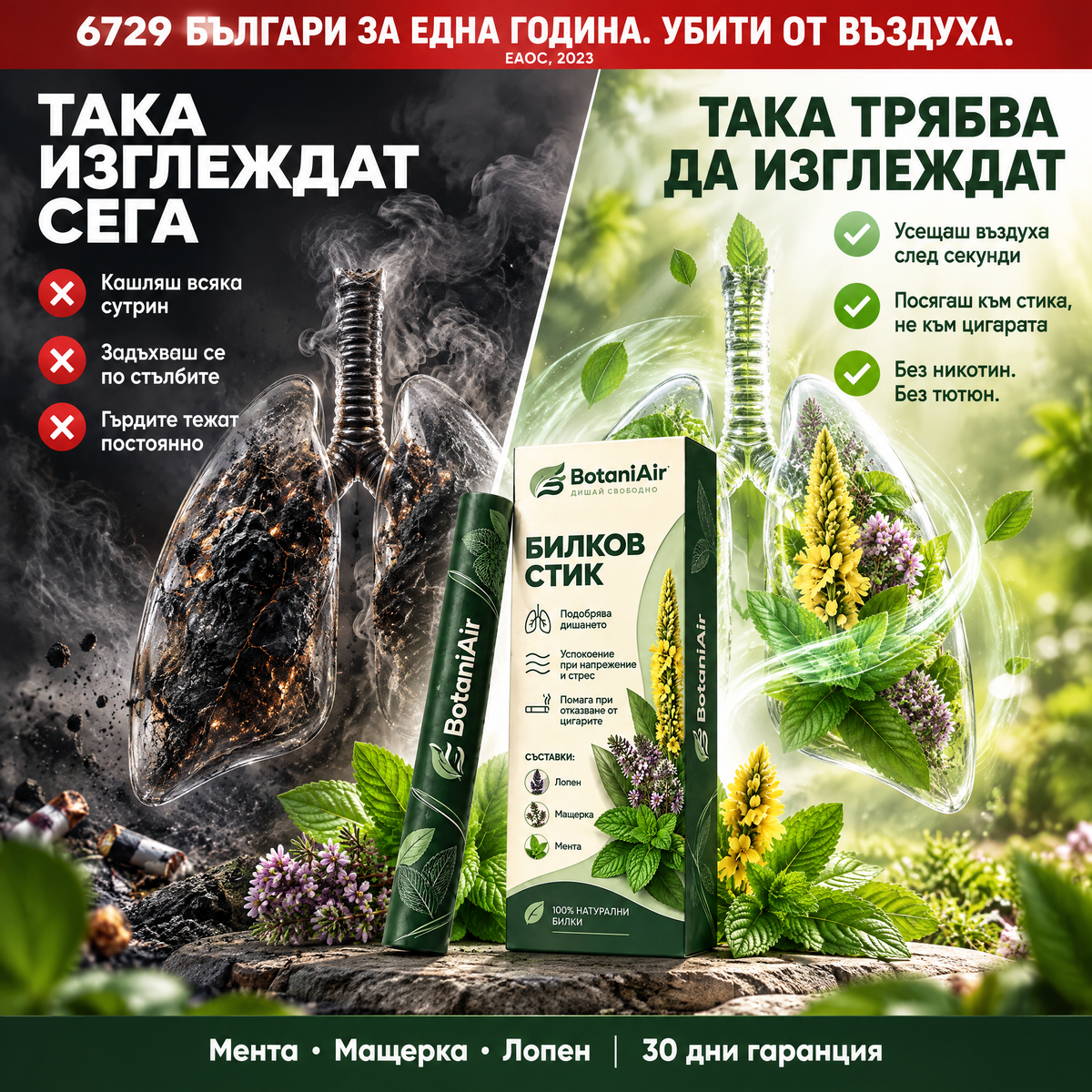 Билков стик с лопен, мента и мащерка